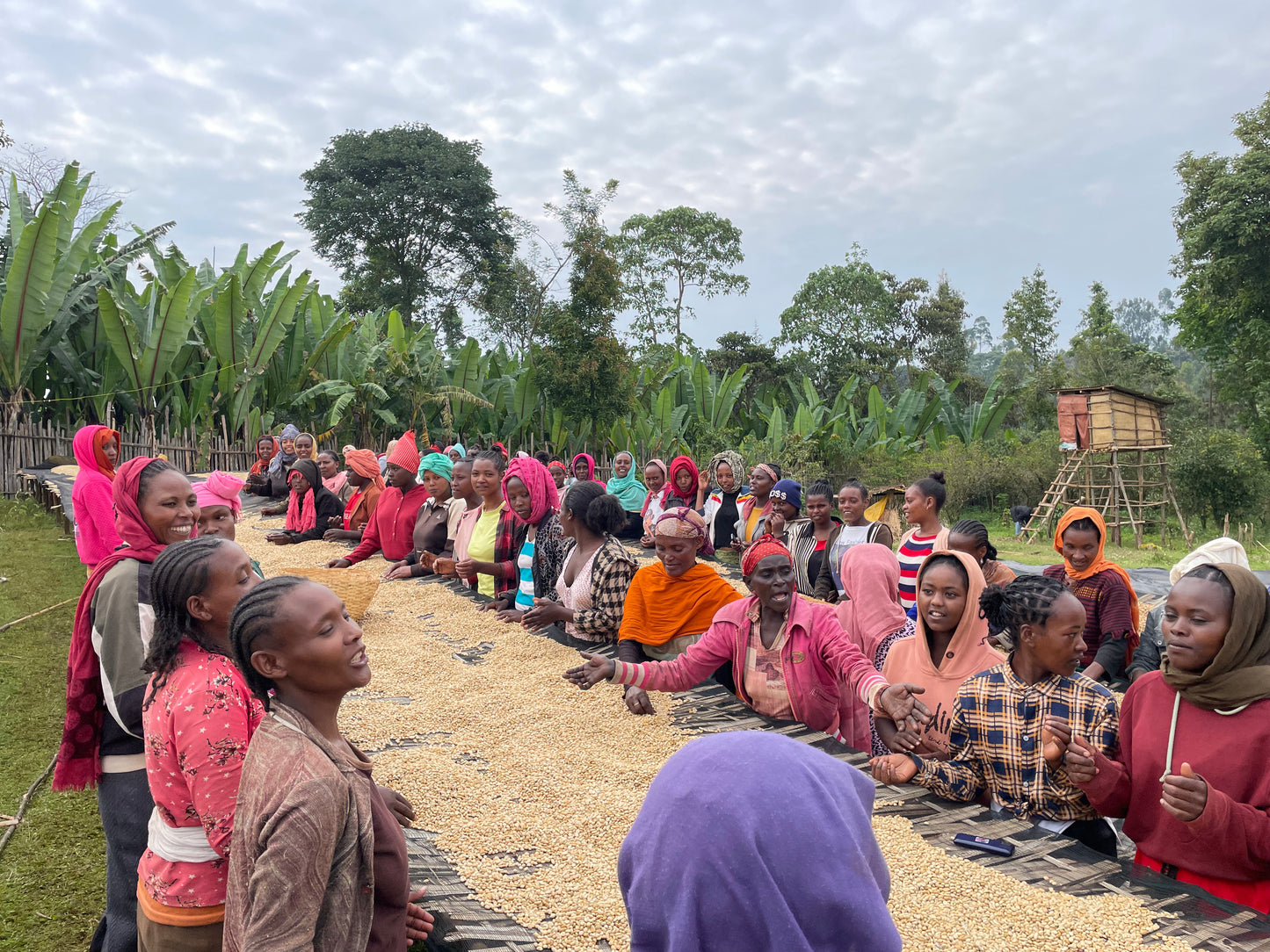 BONA ZURIA - Ethiopie